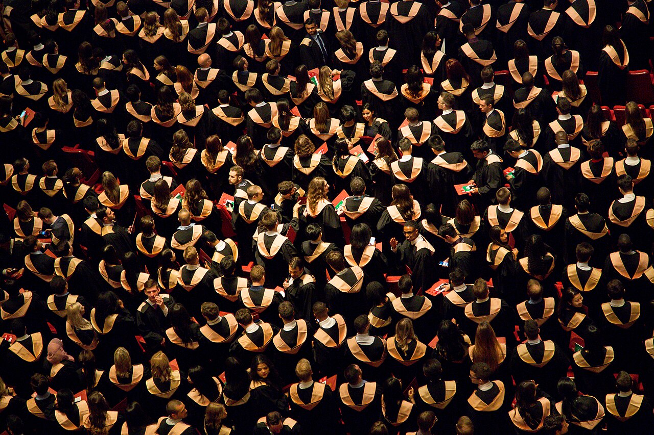 Highest Paying Degrees in the UK for 2026: Top 11 Degrees to Pursue ...